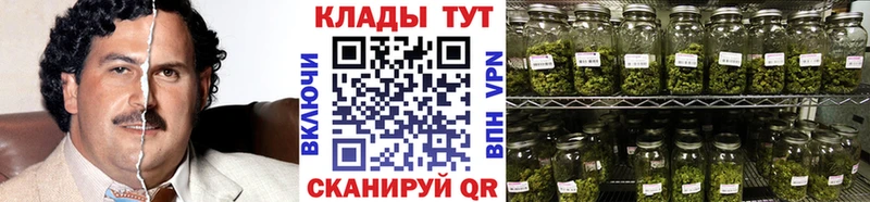 Магазины продажи наркотиков Всеволожск ГАШ Alpha-PVP Мефедрон