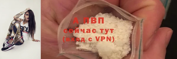 СК Алексеевка