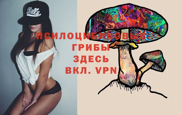 бутират Алексин