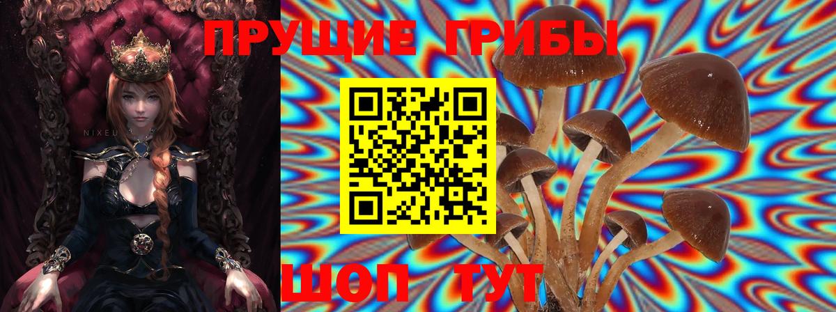 Псилоцибиновые грибы Psilocybine cubensis  Псилоцибиновые грибы мицелий  Всеволожск  купить   Вход с VPN 